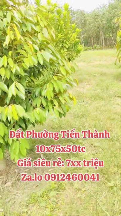 Đất nền Tiến Thành, Đồng Xoài 750m² giá 700 triệu - Đầu tư sinh lời hấp dẫn!