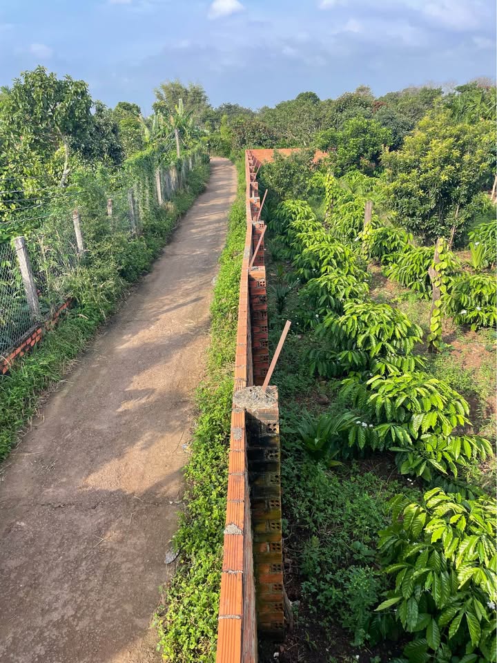 Đất nền Hòa Khánh Buôn Ma Thuột 130m² giá 500 triệu - Cơ hội đầu tư tuyệt vời!