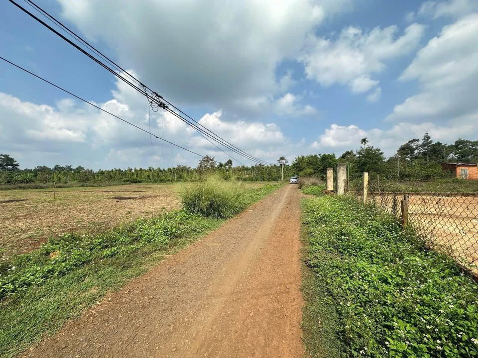 Đất nền liền kề Hoà Đông, Krông Pắc 150m² giá 480 triệu - Cơ hội đầu tư tuyệt vời!