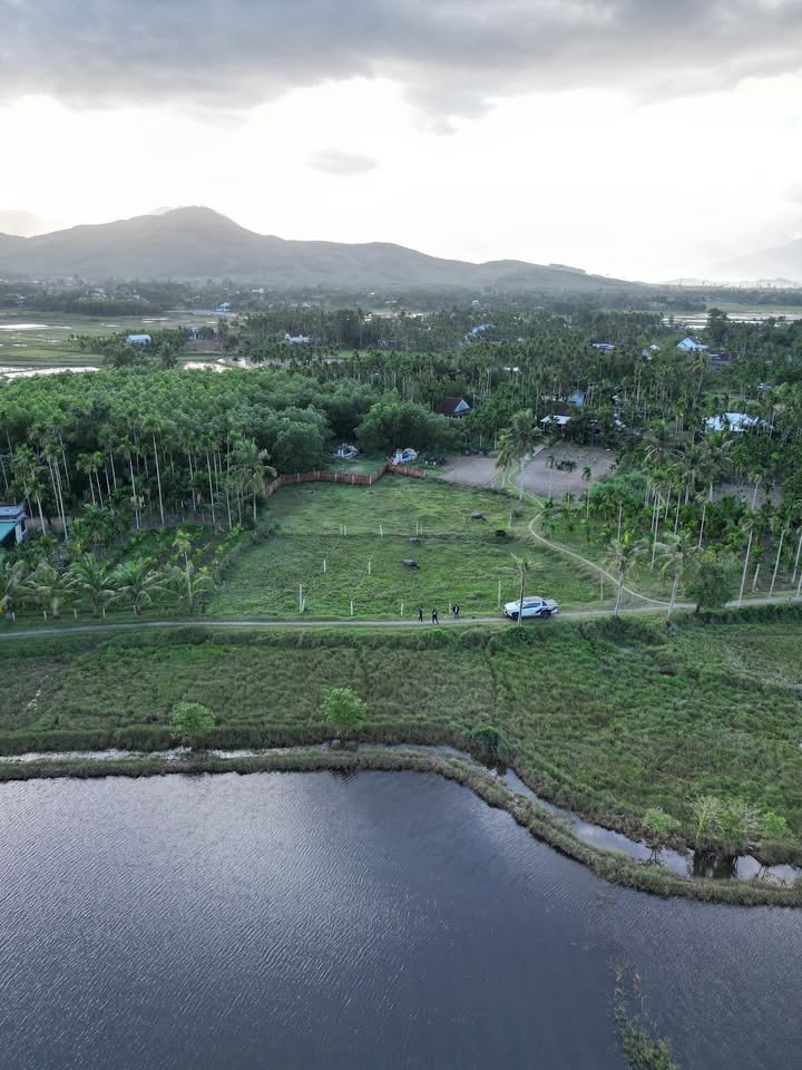 Đất nền Hành Đức Nghĩa Hành 115m² giá chỉ 100 triệu - Cơ hội đầu tư tuyệt vời!