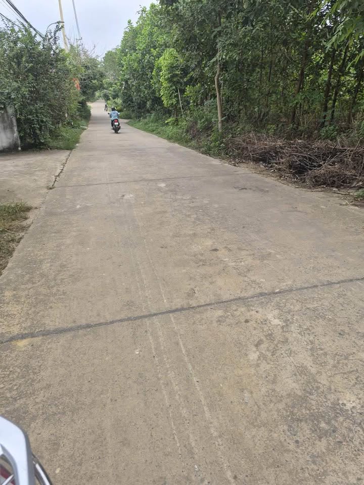 Lô đất Ba Trại 1430m² giá 6 tỷ - Đầu tư sinh lời tiềm năng!