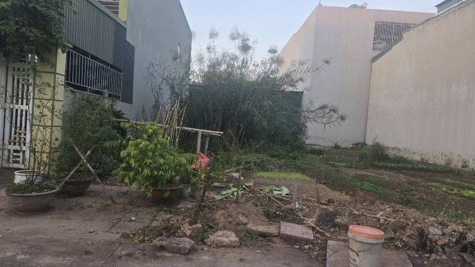 Đất nền đẹp tại Rừng Thông, 100m² giá 2,6 tỷ - Đầu tư sinh lời bền vững!