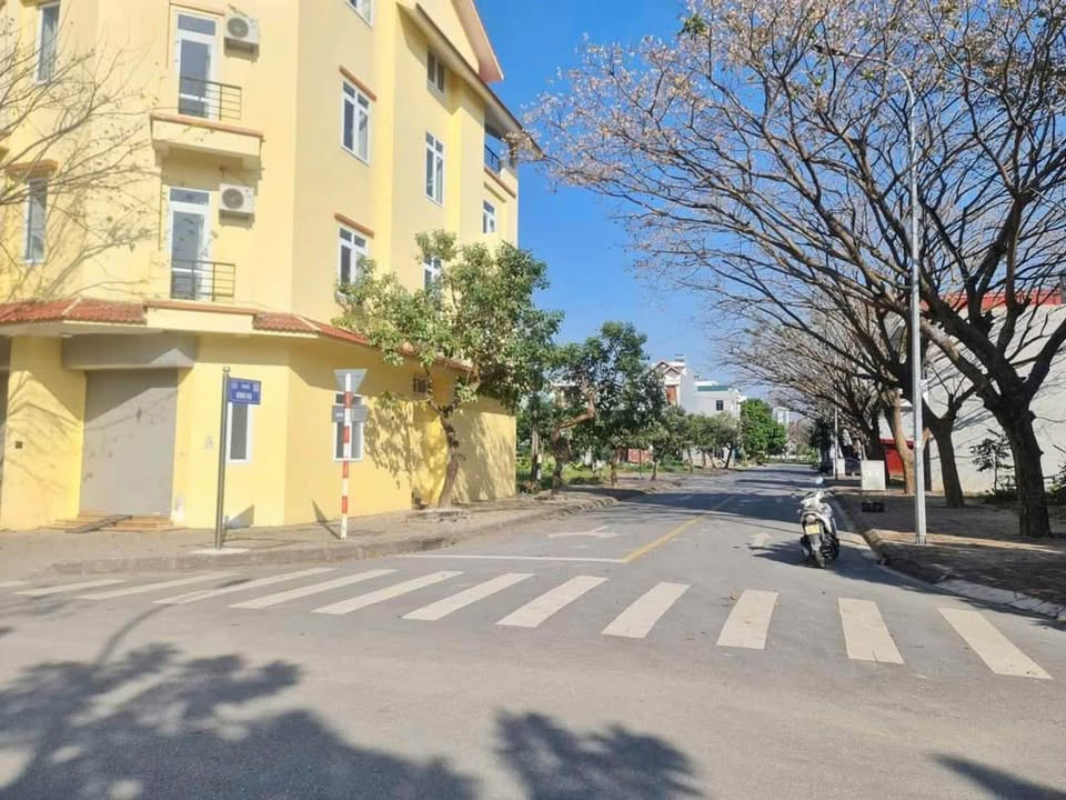 Đất thương mại LK5 Đại An 1, Hải Dương 85.5m² - Vị trí đắc địa, giá tốt!