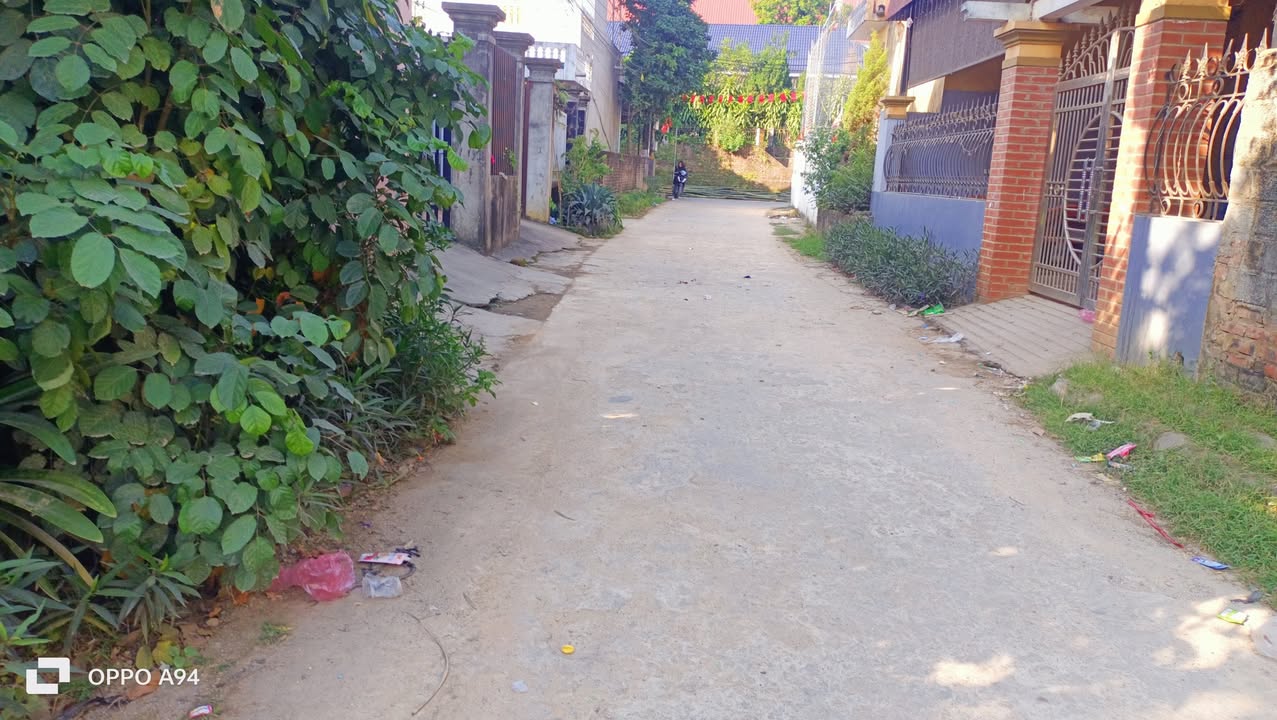 Đất nền Ngô Xá 175m² giá 1 tỷ - Đầu tư sinh lời ngay!