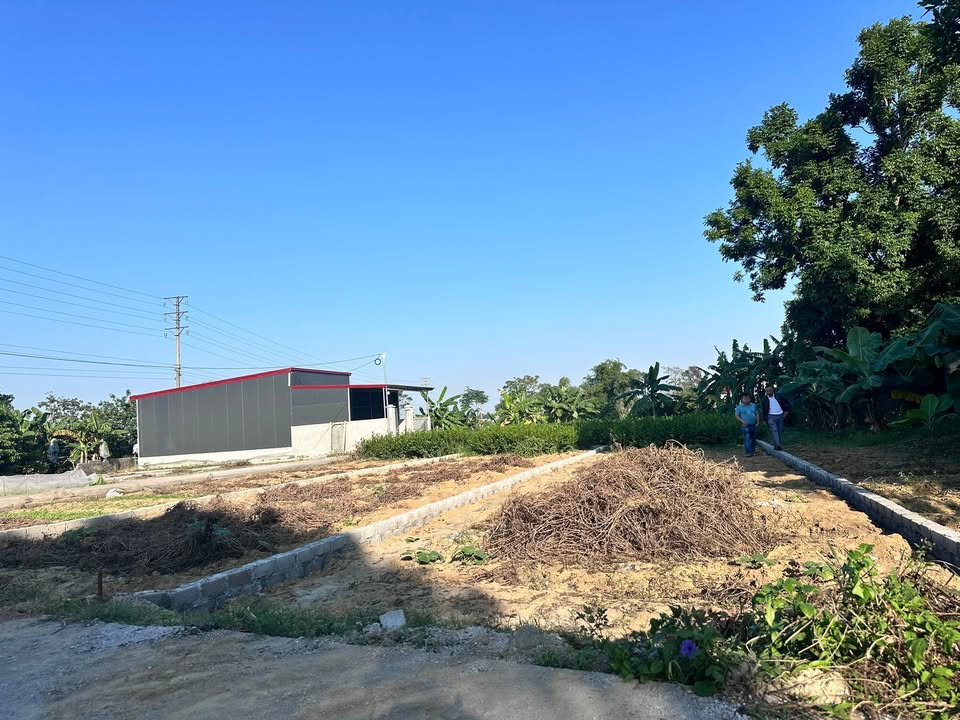 Đất sổ đỏ Hiệp Hoà 102m² giá chỉ 600 triệu - Đầu tư sinh lời ngay!