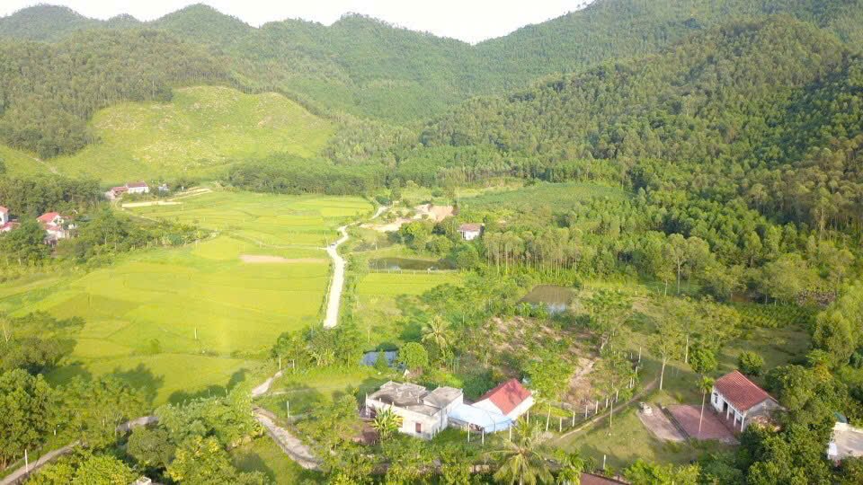 Đất trang trại Ngọc Thanh, Vĩnh Phúc 4.500m² - Cơ hội đầu tư hấp dẫn!