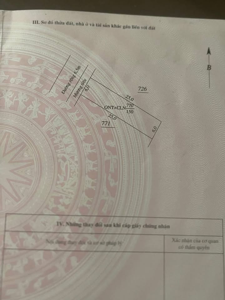 Đất nền Đa Lộc, Hậu Lộc 150m² giá chỉ 800 triệu - Cơ hội đầu tư sinh lời!