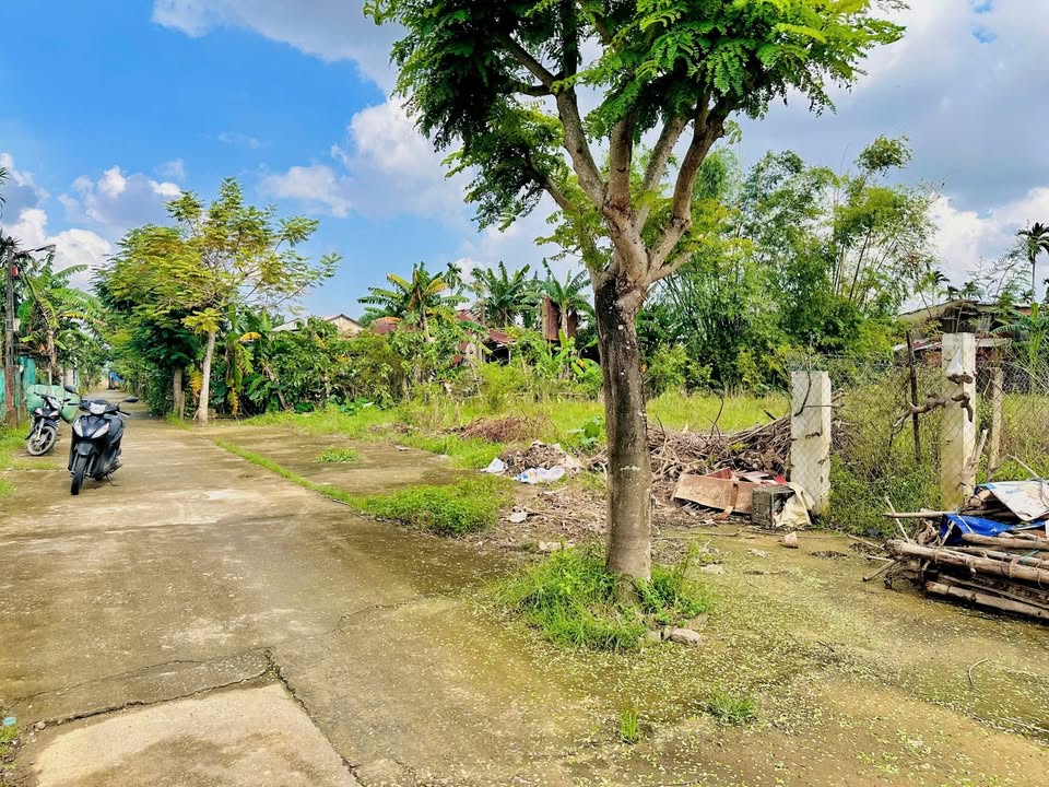 Lô đất nền 186m² tại Điện Hồng - Giá chỉ 760 triệu - Cơ hội đầu tư tuyệt vời!