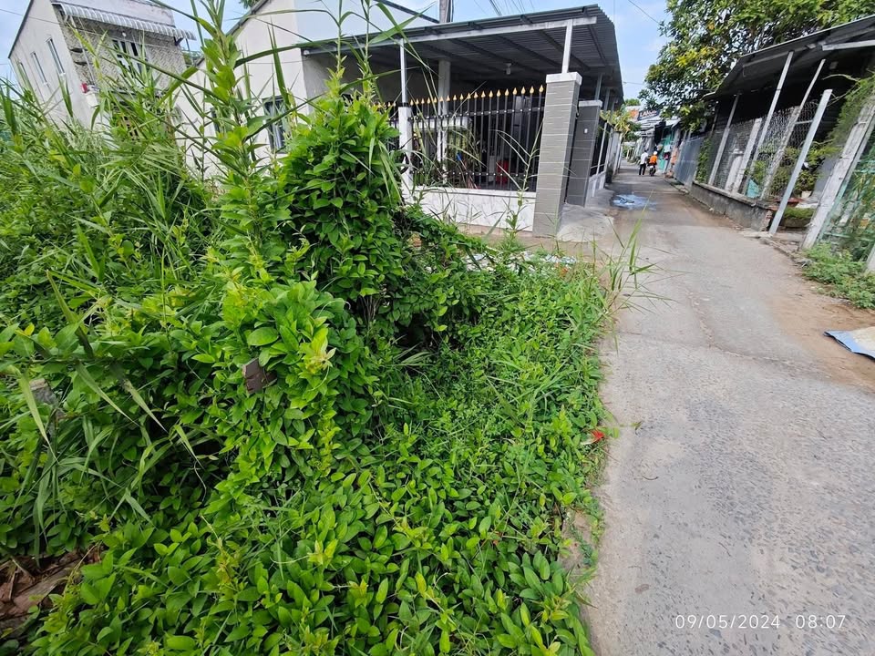 Đất nền Bình Hưng, Phước Thới Ô Môn 165m² giá 700 triệu - Đầu tư tiềm năng!