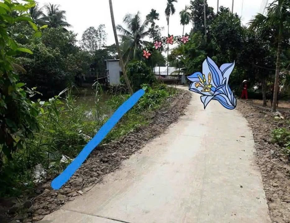 Đất nền sổ hồng 72m² tại ấp Tân An, Hậu Giang giá chỉ 160 triệu - Cơ hội tích lũy tuyệt vời!