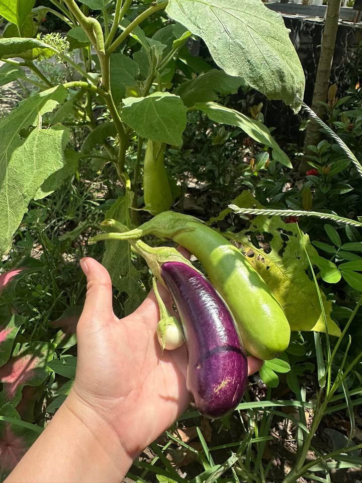 Đất nền xây trọ Hẻm 2 đường 3/2, phường Hưng Lợi, Cần Thơ - Giá chỉ 4.85 tỷ!