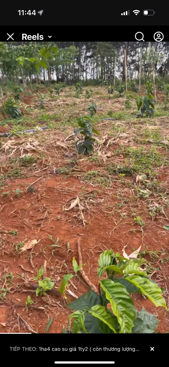 Đất nền Eakhal Đắk Lắk 20,000m² giá 40 tỷ - Pháp lý rõ ràng, tiện ích đầy đủ!