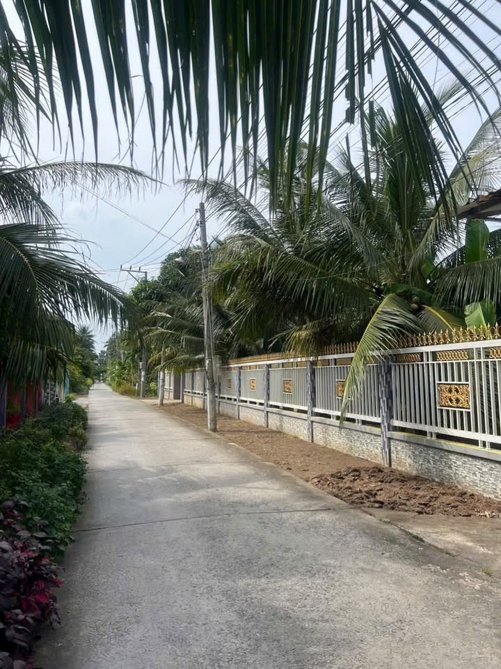 Đất thổ cư Hữu Định 300m² giá 950 triệu - Mặt tiền đường lớn, gần chợ!