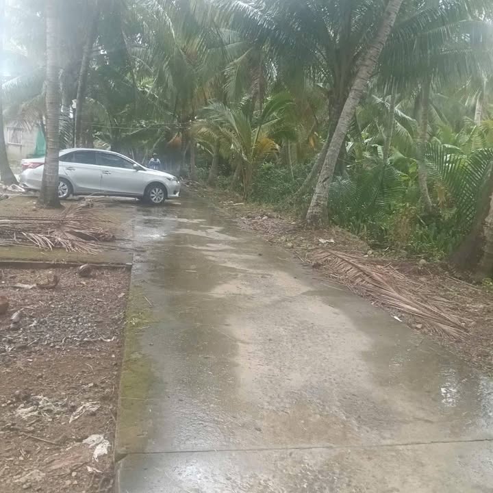 Đất Tân Thanh Giồng Trôm 245m² giá 430 triệu - Sổ đỏ chính chủ, giao ngay!