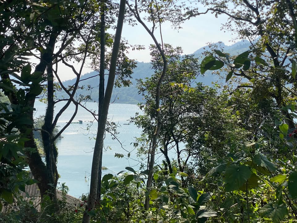 Đất Farm Hiền Lương Đà Bắc 2500m² - View Sông Mát Mẻ, Không Gian Sống Trong Lành!