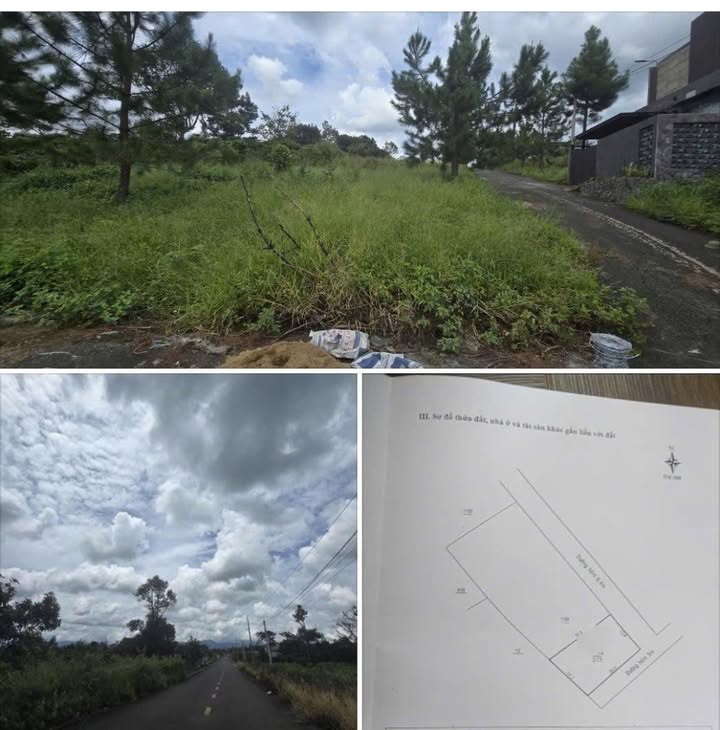 Đất nghỉ dưỡng 2 mặt tiền đường Phùng Hưng, Bảo Lộc, 257m² - Giá tốt thương lượng!