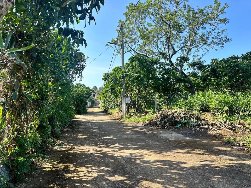 Đất nền Lê Đại Hành, Bảo Lâm 400m² giá chỉ 1.35 tỷ - Cơ hội đầu tư tuyệt vời!