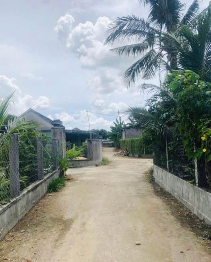 Đất nền 100m² tại Cát Trinh, Phù Cát chỉ 200 triệu - Giá tốt không thể bỏ lỡ!