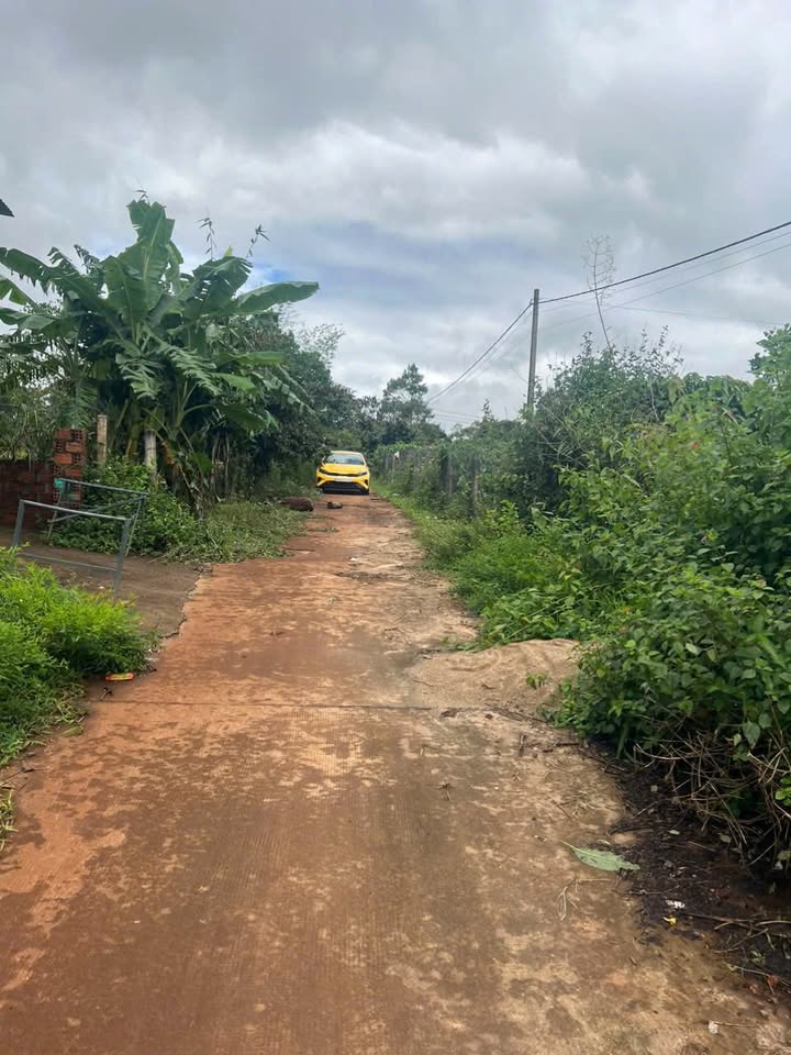 Đất nền Biển Hồ, Pleiku 150m² giá 300 triệu - Đầu tư sinh lời ngay!