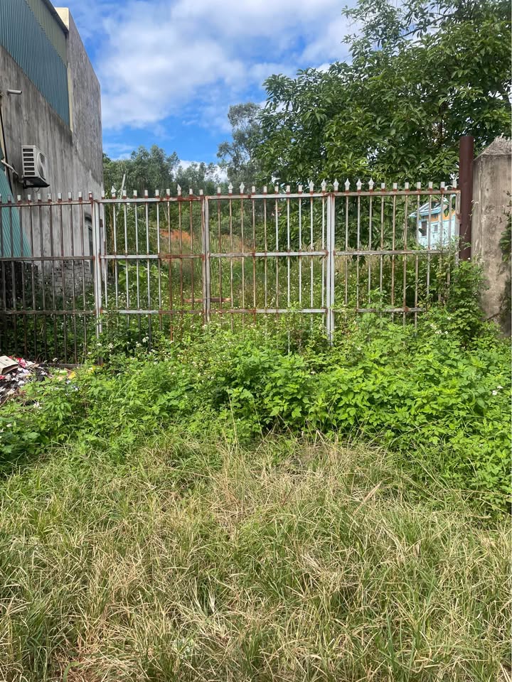 Đất nền Hạ Long 1245m² giá 11 tỷ - Khuôn đất vuông vức, tiện ích đầy đủ!