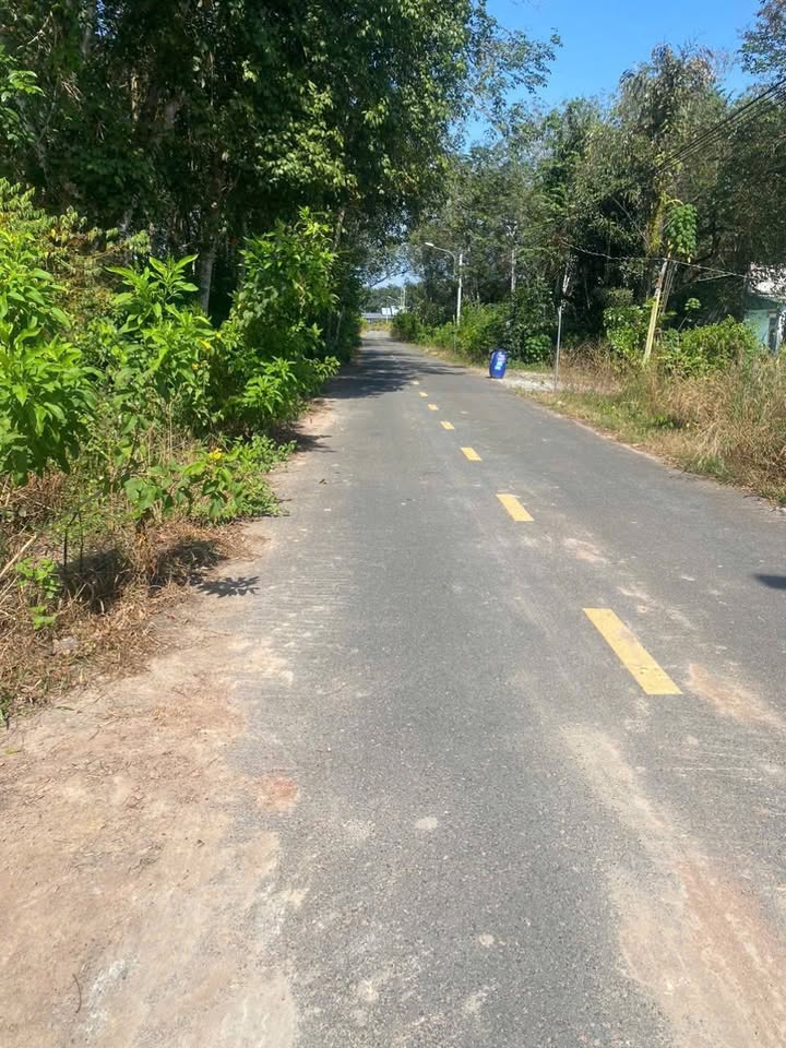 Đất nền Bàu Bàng 2079m² giá 3 tỷ - Mặt tiền đường nhựa Long Nguyên