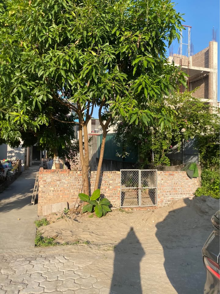 Đất mặt hồ Xuân Hương, phường Ngọc Châu, 56m² giá chỉ 2 tỷ - Đầu tư sinh lời ngay!