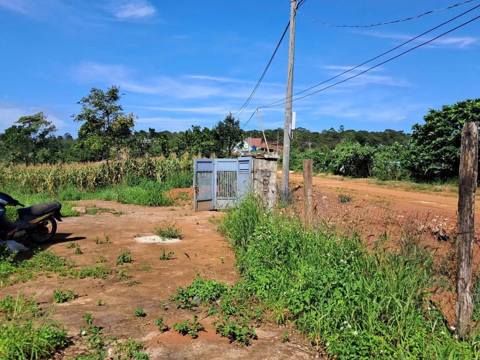 Nhà riêng Nam Gia Nghĩa 50m² giá 3.5 tỷ - Sổ đỏ chính chủ, đầy đủ tiện nghi!