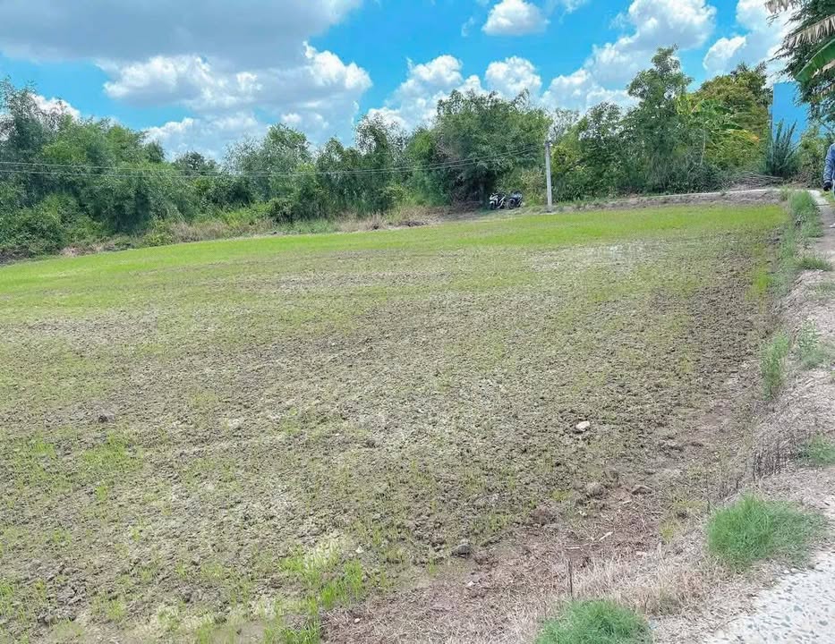 Đất nông nghiệp 1100m² tại ấp 2, Phước Tuy, Cần Đước - Giá chỉ 800 triệu VND!