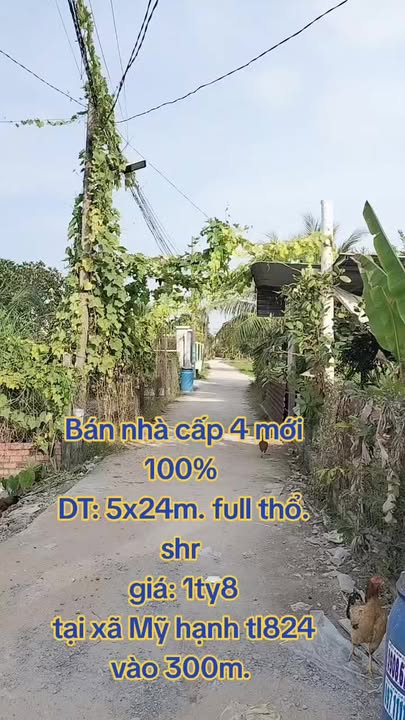 Nhà cấp 4 xã Mỹ Hạnh, Đức Hòa 120m² giá chỉ 1.8 tỷ - Cơ hội không thể bỏ qua!