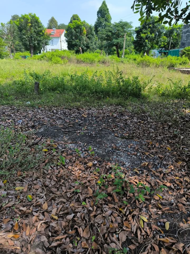 Đất Khu Đại Dương Tân An 100m² giá 2.55 tỷ - Đầu tư sinh lời hấp dẫn!