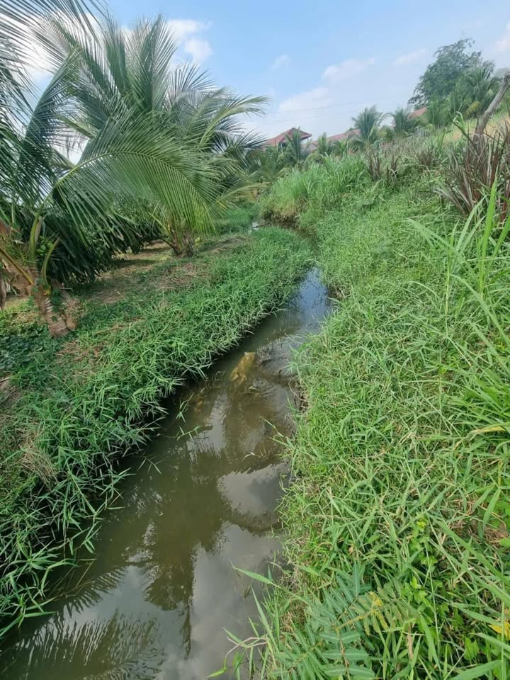 Đất nền 800m² mặt tiền Bà Hàm Liêm, giá 650 triệu - Cơ hội đầu tư hấp dẫn!