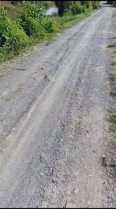 Đất thổ cư xã Long Thạnh, Thủ Thừa, Long An 20.000m² - Giá chỉ 741 triệu, cơ hội đầu tư hấp dẫn!