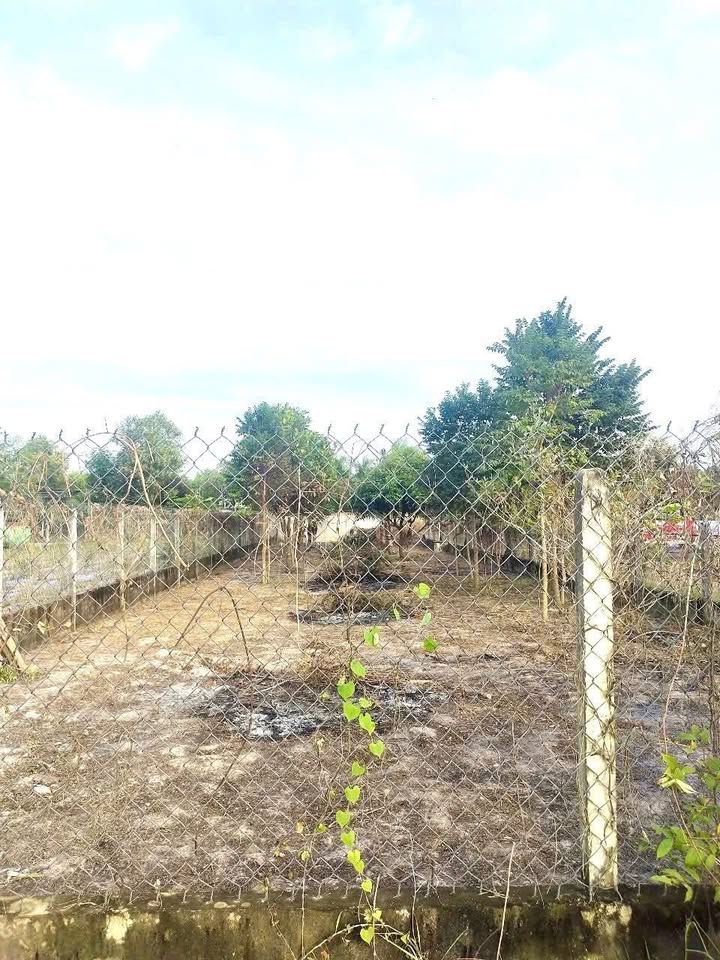 Đất nền 500m² tại Lộc Giang, Đức Hòa - Pháp lý rõ ràng, giá 2 tỷ - Cơ hội đầu tư tuyệt vời!