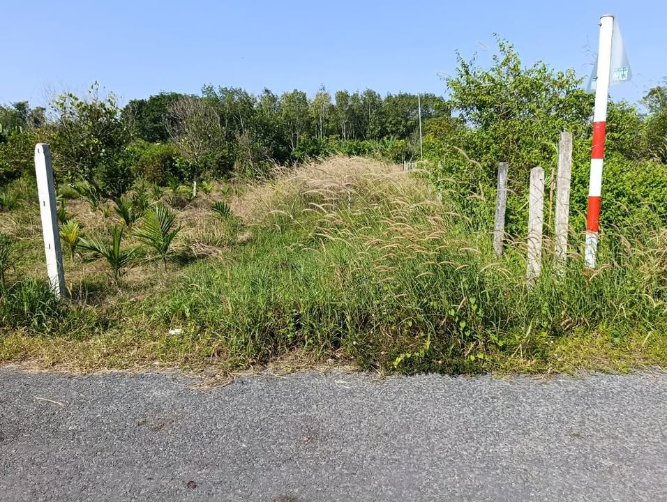 Đất mặt tiền nhựa Kp Lộc Trác, Trảng Bàng 145m² giá 790 triệu - Cơ hội đầu tư tuyệt vời!