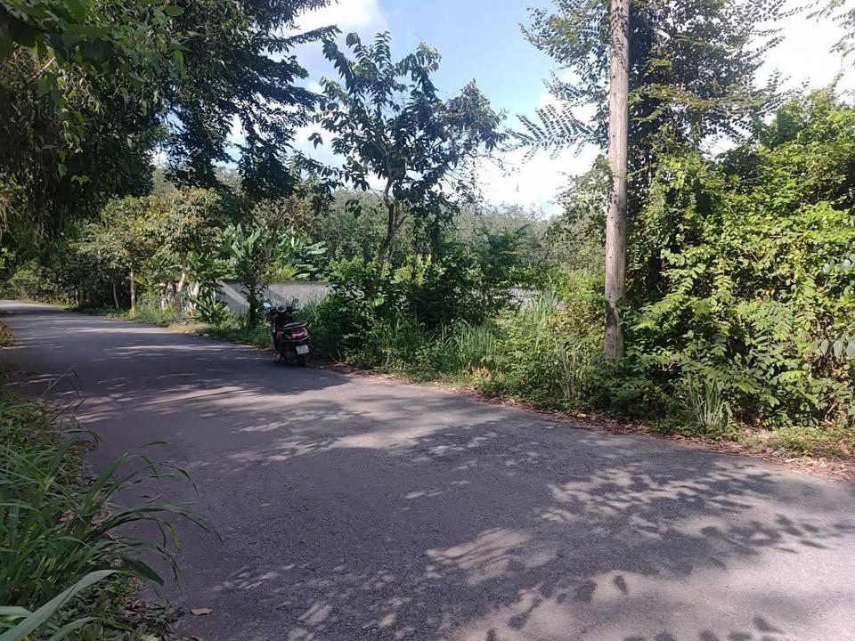 Đất nền An Nhơn Tây Củ Chi 3060m² giá 6.8 tỷ - Tiềm năng đầu tư lớn!