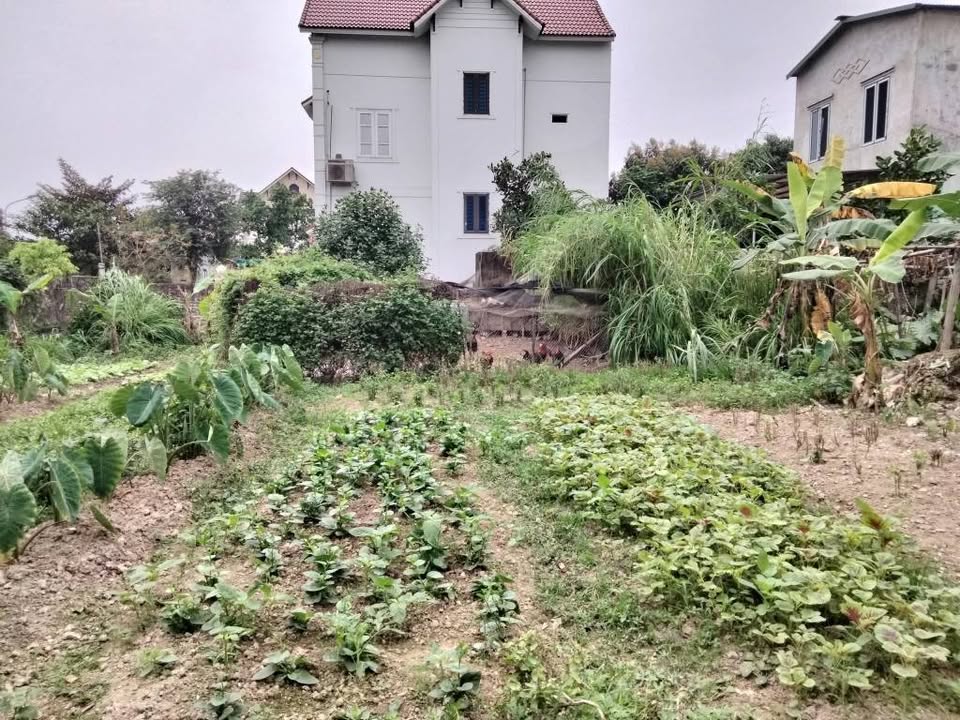 Đất nền Mộ Đạo Quế Võ 100m² giá 1.58 tỷ - Vị trí vàng gần trường và chợ!