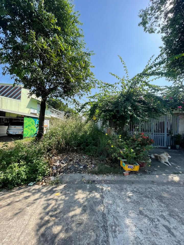 Đất nền Bến Cát 150m² giá 1.6 tỷ - Đất dân cư đông đúc, tiện ích đầy đủ!