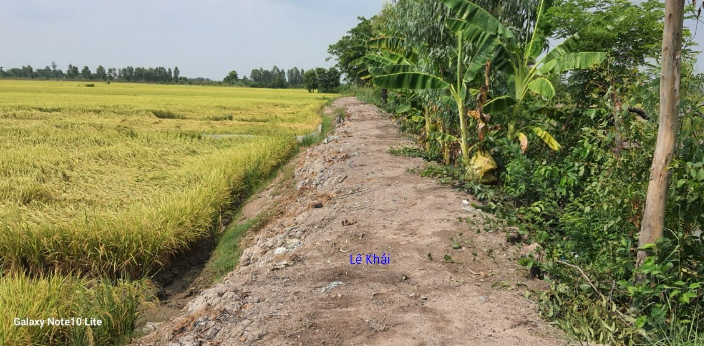 Đất nông nghiệp 2.700m² tại Mỹ Thọ, Đồng Tháp giá 450 triệu - Cơ hội đầu tư hấp dẫn!