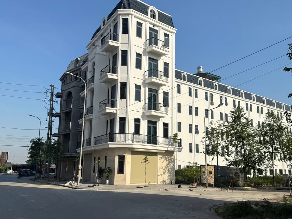 Đất nền dự án 4,6ha TT Lim - Tiên Du 91m² giá chỉ 7 tỷ - Đầu tư sinh lời ngay!