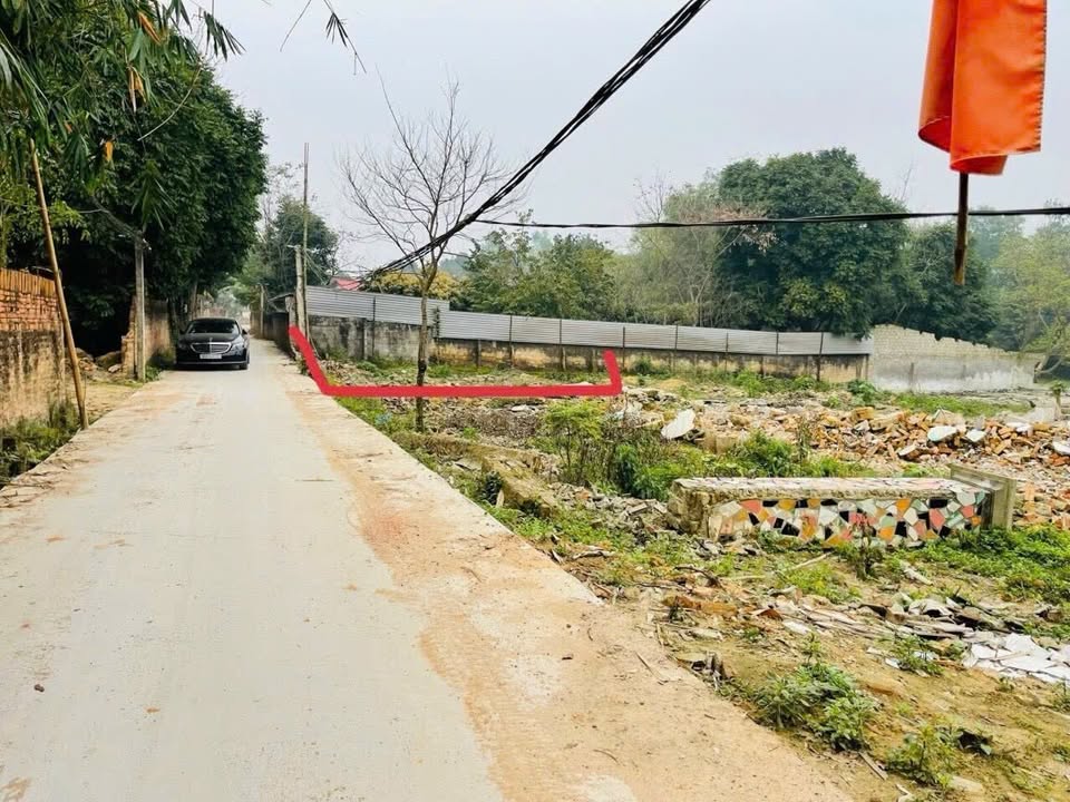 Đất thổ cư 100m² tại Kim Long, Tam Dương chỉ 500 triệu - Cơ hội đầu tư tốt!