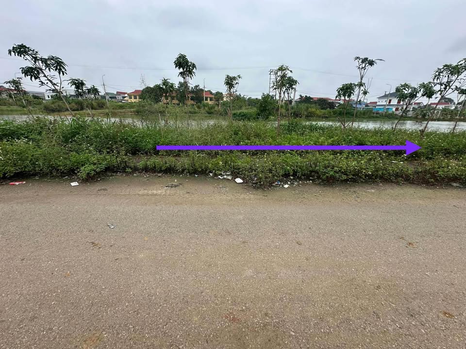 Đất nền Quảng Trạch 100m² giá chỉ 1 tỷ - Cơ hội đầu tư tuyệt vời!