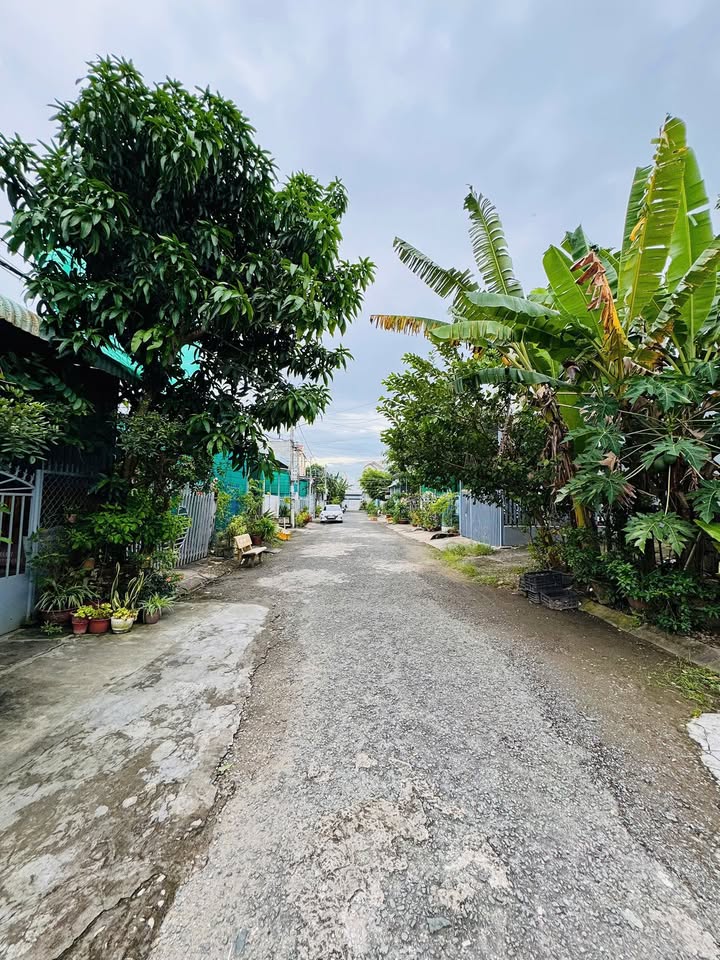 Đất nền KDC Phường 5 Bạc Liêu 84m² giá 790 triệu - Thương lượng nhẹ