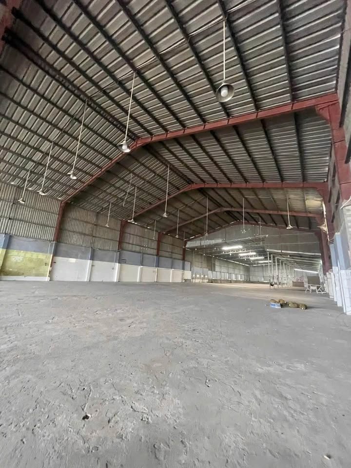 Cho thuê kho 1500m² tại Mỹ Đức Tây, Cái Bè - Giá chỉ từ 1 tỷ!