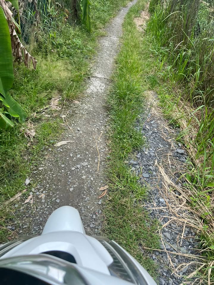 Đất nền Hòa Nghĩa Chợ Lách 500m² giá 250 triệu - Cơ hội đầu tư tuyệt vời!