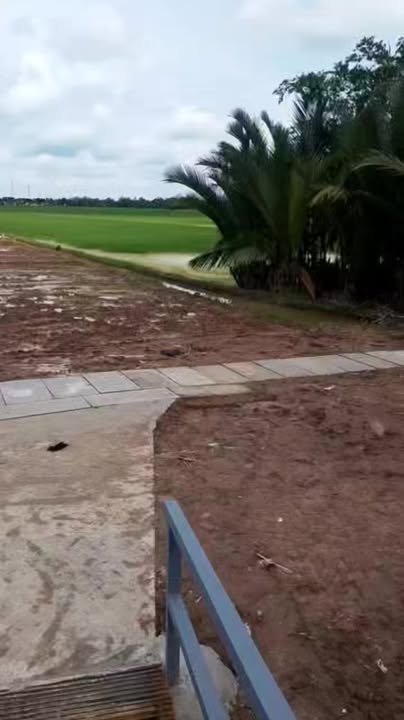 Đất nền đẹp Tài Văn, Trần Đề, Sóc Trăng 480m² giá chỉ 250 triệu - Cơ hội đầu tư tuyệt vời!