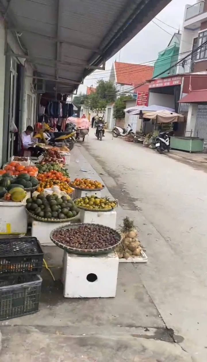 Đất nền Tân Viên 62.5m² giá 600 triệu - Nằm ngay khu dân cư đông đúc!