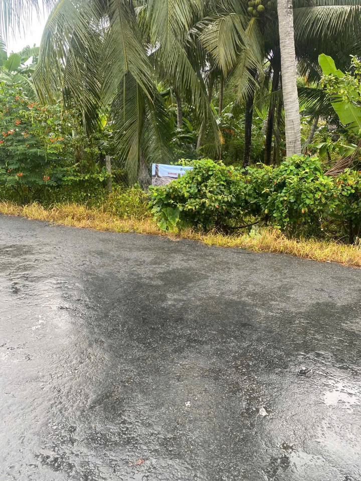 Đất mặt tiền đường Tỉnh 901, xã Hòa Bình, Vĩnh Long 300m² giá 999 triệu - Đầu tư sinh lời ngay!