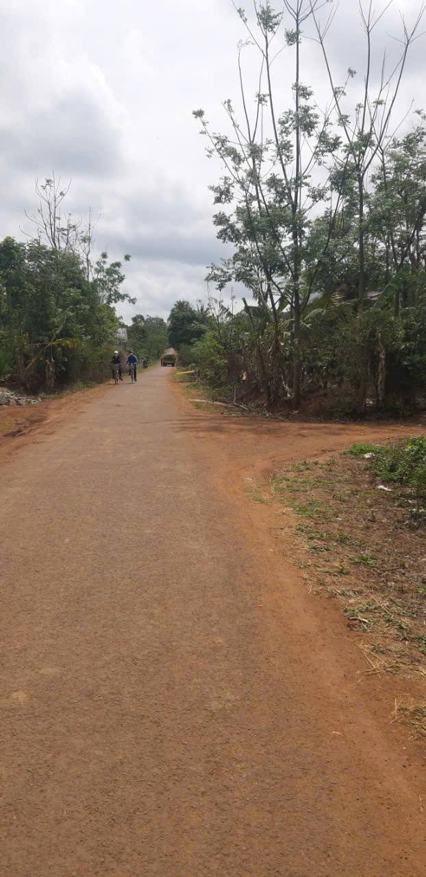 Đất nền Ea Ktur, Cư Kuin 125m² chỉ 379 triệu - Cần bán gấp!