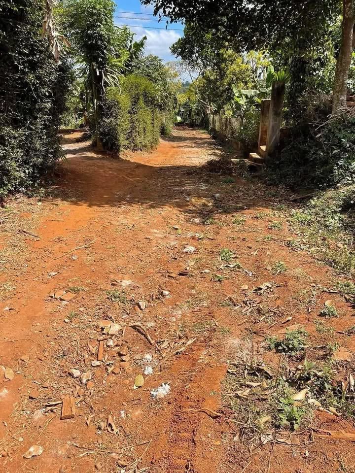 Đất nền phường An Lạc, Buôn Hồ 200m² giá 850 triệu - Đầu tư sinh lời!