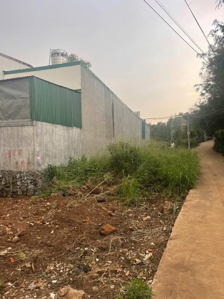 Đất nền hẻm 242 Tân Hoà 120m² giá 1.15 tỷ - Cơ hội đầu tư hiếm có!